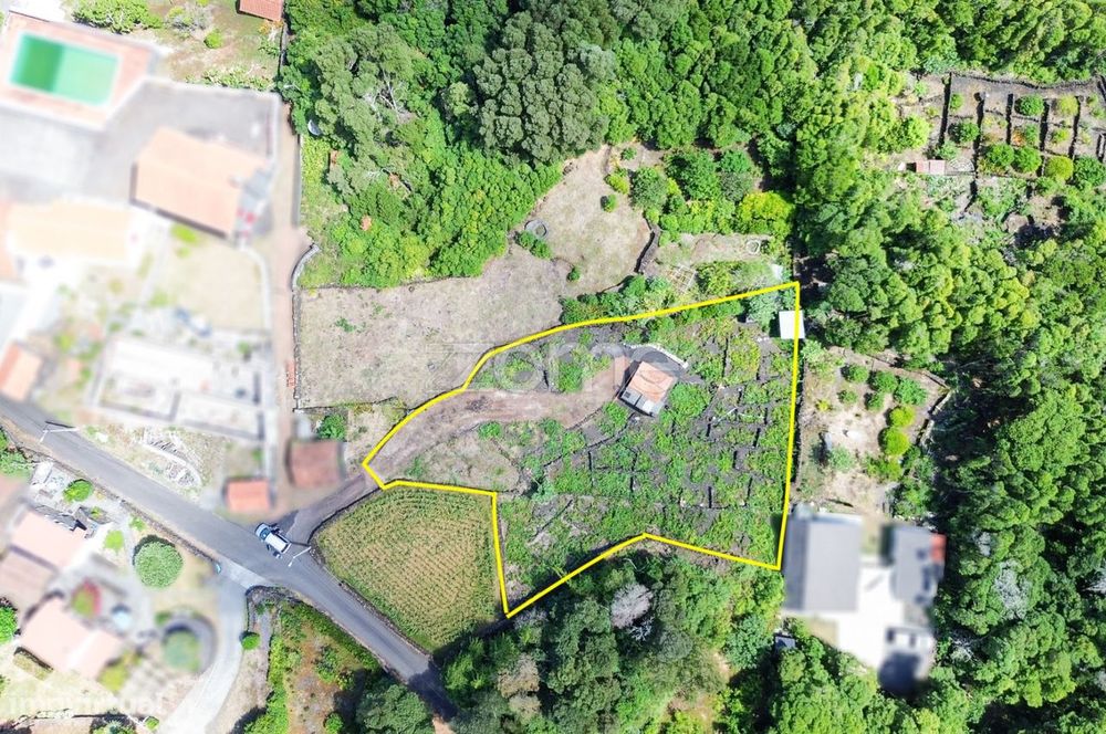 Terreno rústico com 1.371 m2 com adega em pedra na Prainha