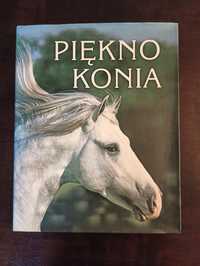 Ilustrowany album Piękno konia, Parragon, wydawnictwo Olesiejuk