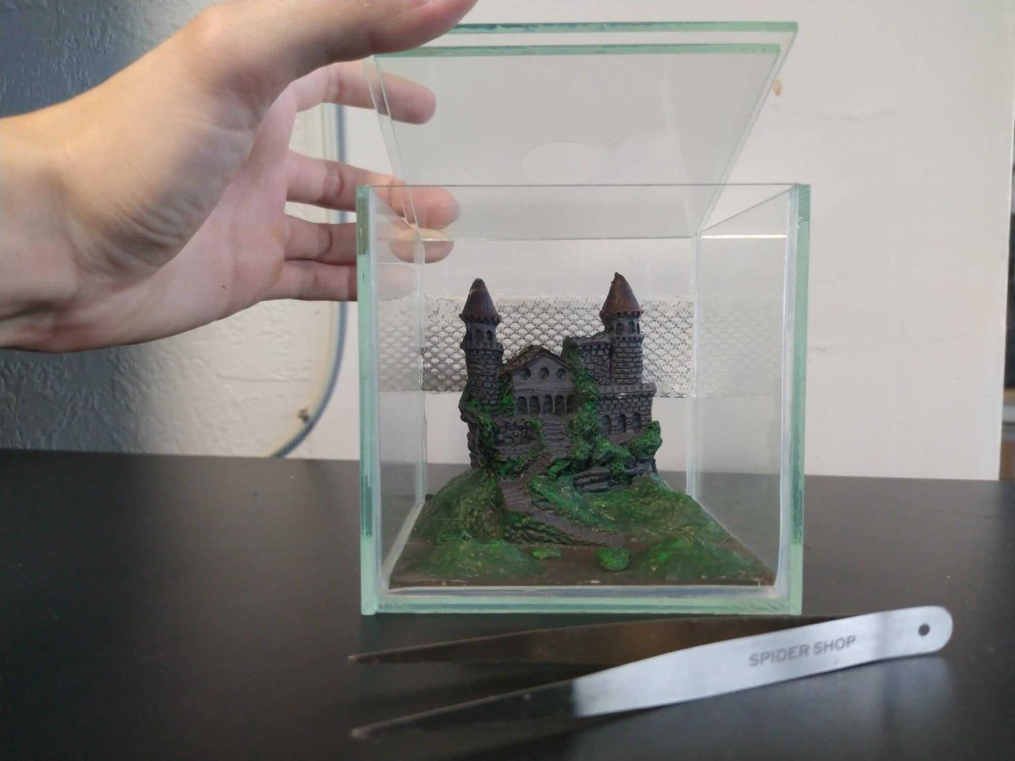 Terrarium 10x10x10h z wystrojem dla Skakuna