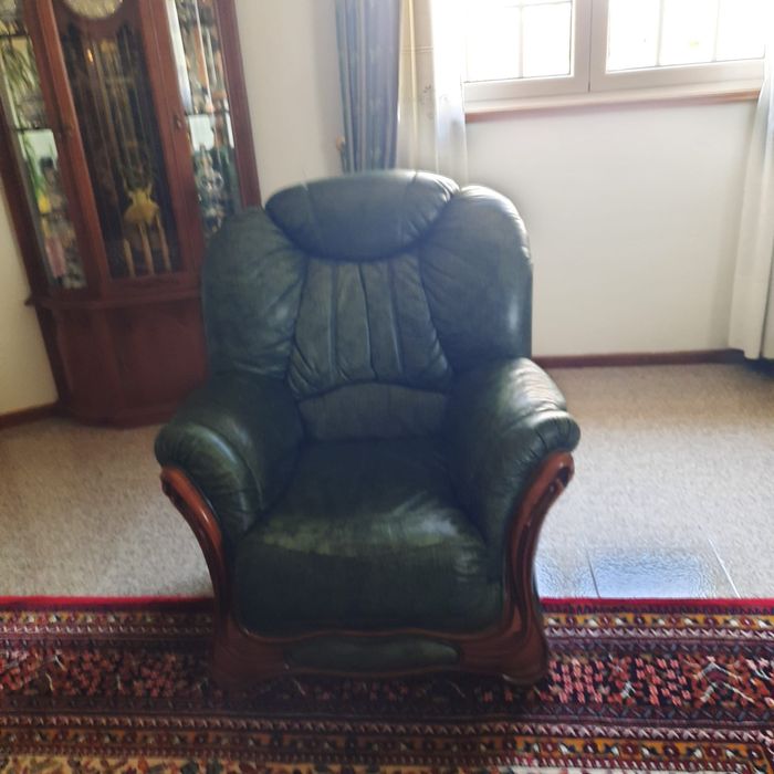 1 sofa que faz cama, 2 cadeirões + 1 carpete