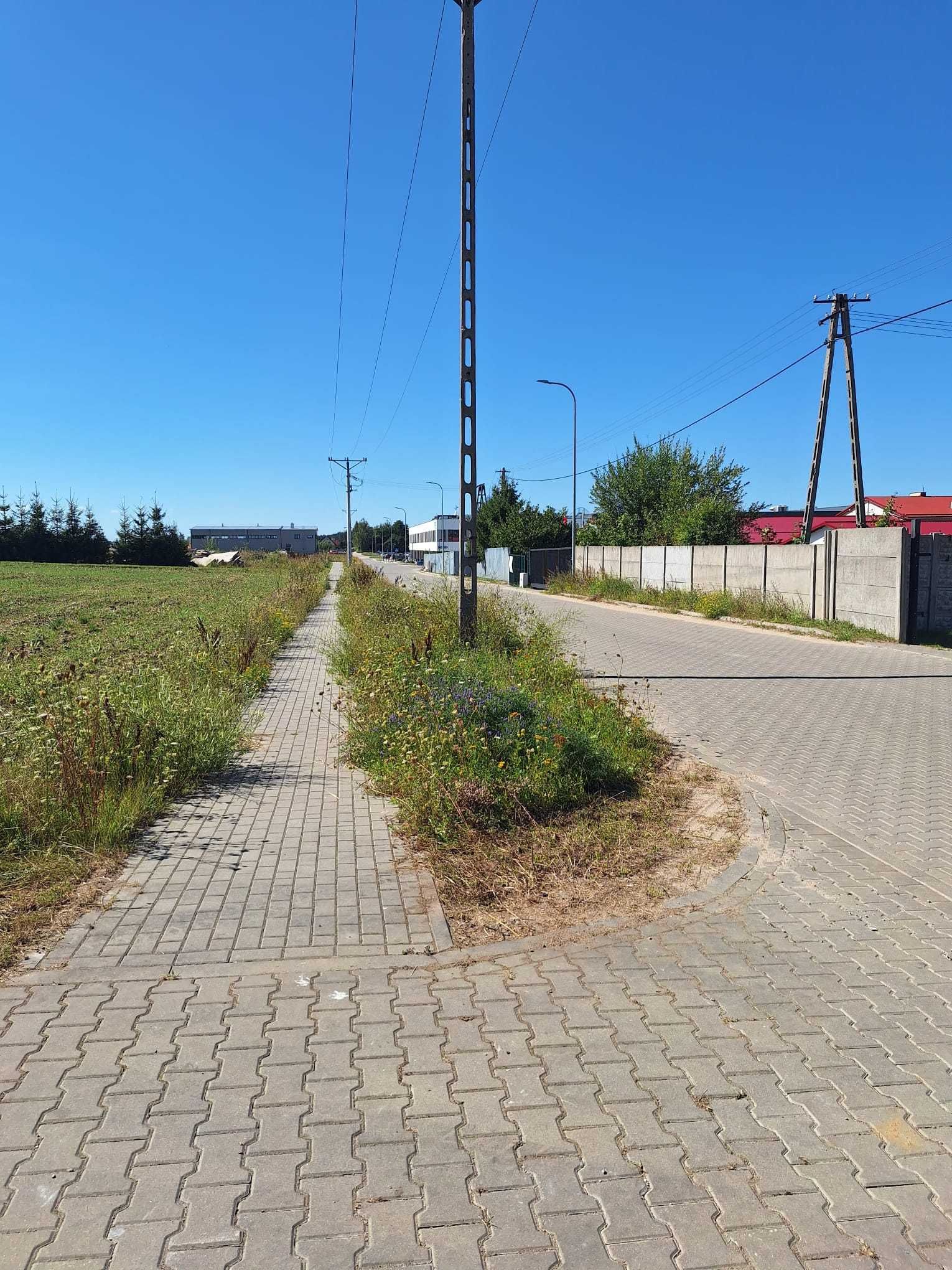 Atrakcyjna działka inwestycyjna 1,03 ha tuż przy trasie S7 w Miszewku