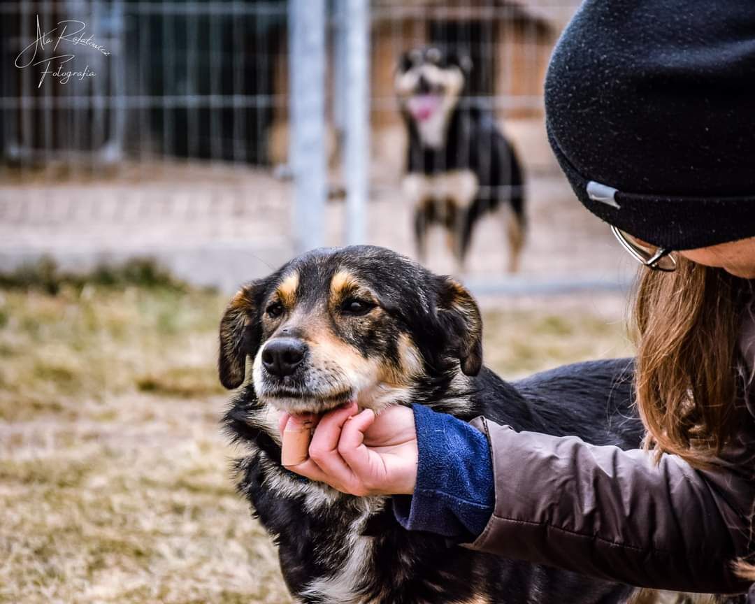 Ma piękną urodę, ale jeszcze trochę się boi... Daj mu szansę!