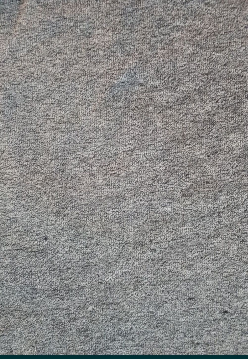 Bluza 74 szara z misiem
