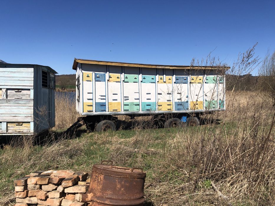 Продам пасіку кочеву