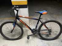 Bicicleta Estrada desportiva Team Adulto Velocidades