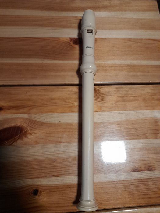 Flet instrument muzyczny