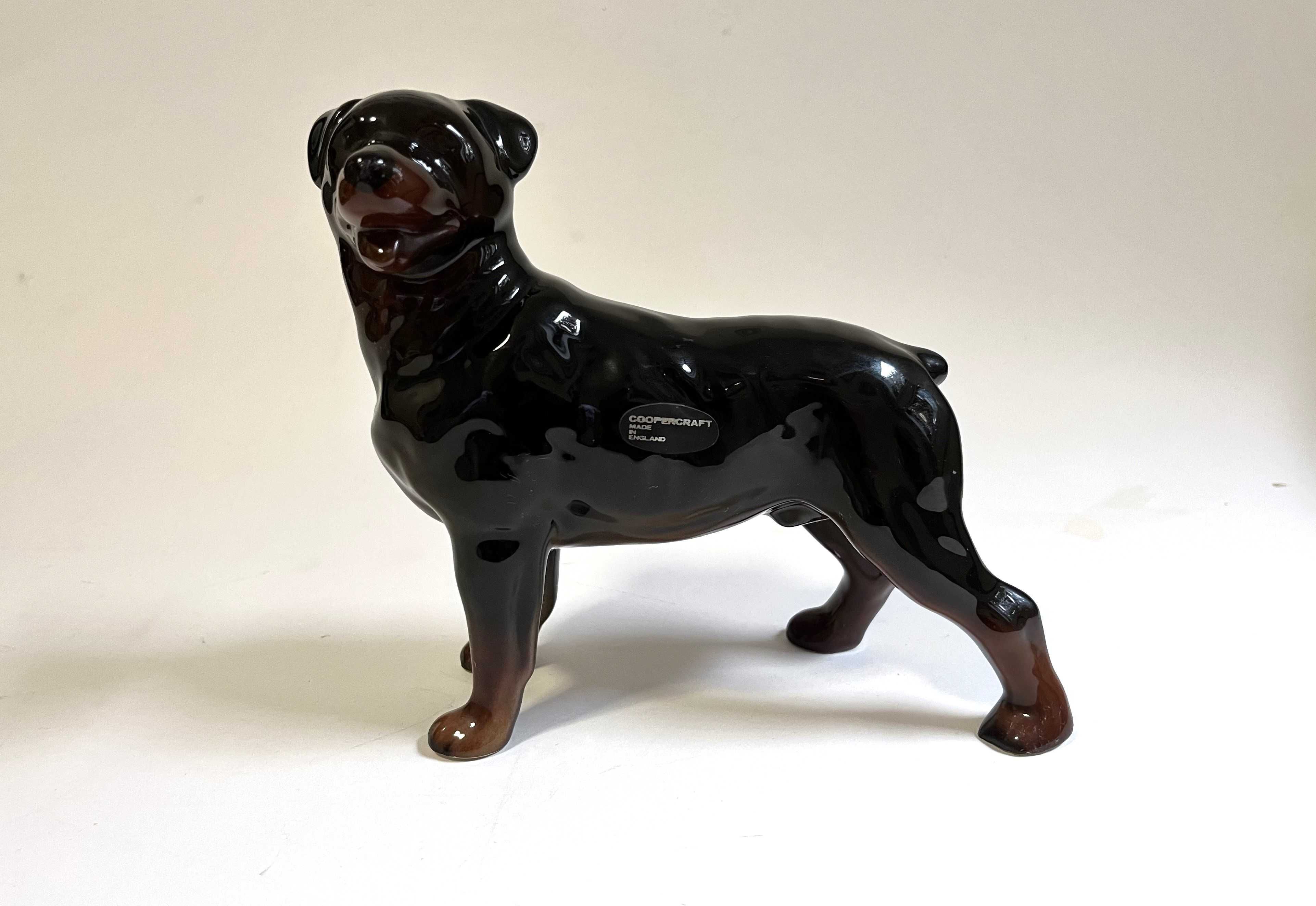 Figurka porcelanowa pies rasy Rottweiler- Coopercraft Angila!