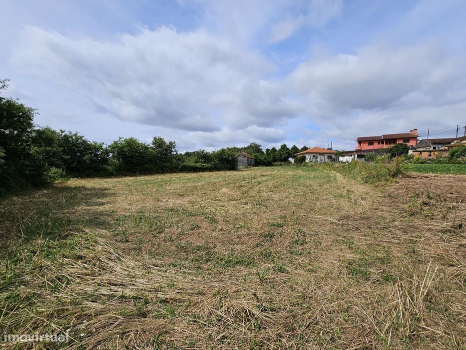 Terreno em Nogueira do Cravo