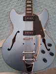D'Angelico premier Boardwalk P90