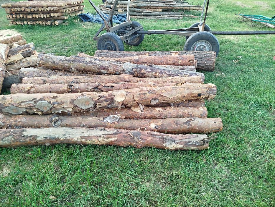 Drewno opałowe sosnowe