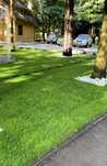 PROMOCJA 40 M2 Trawa w rolce, trawa z rolki, trawa, TRAWNIK POLSKI