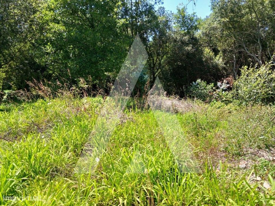 Terreno Rustico na Murtosa