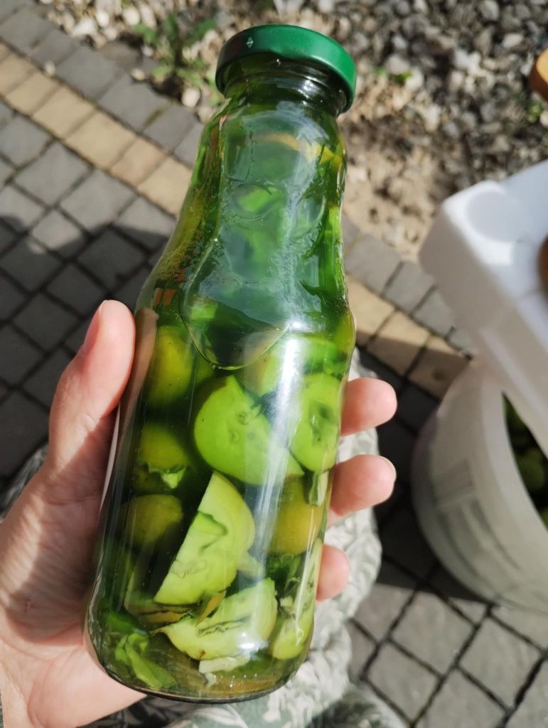 Ekstrakt z młodych orzechów włoskich 330ml