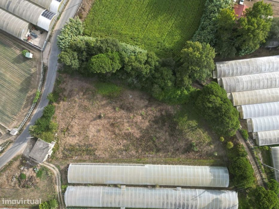 Terreno Rústico 3.750 m2 – Rio Alto, Estela - Póvoa de Varzim