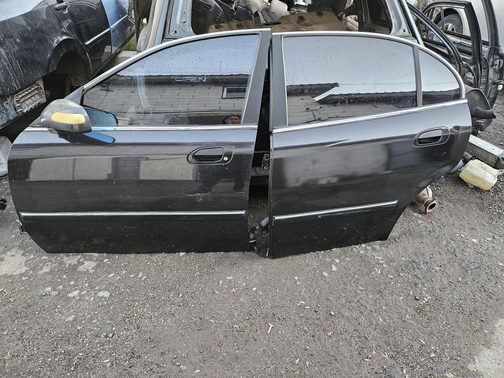 Двері Chery Eastar