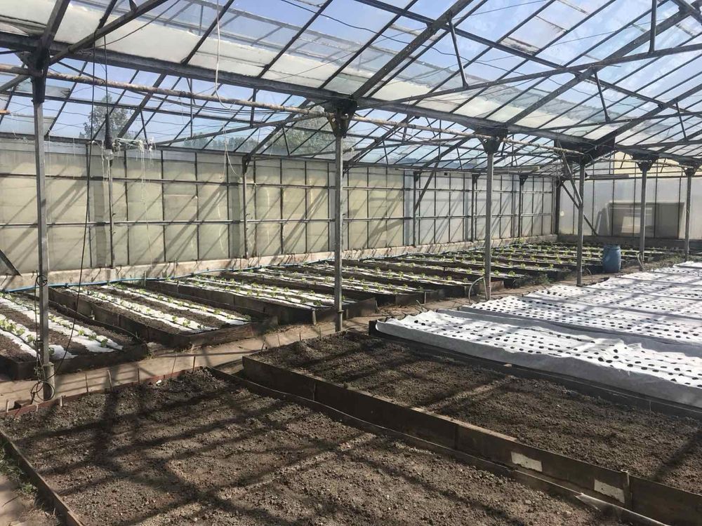Ангар теплиця 350м2 склад холодильник метало конструкція