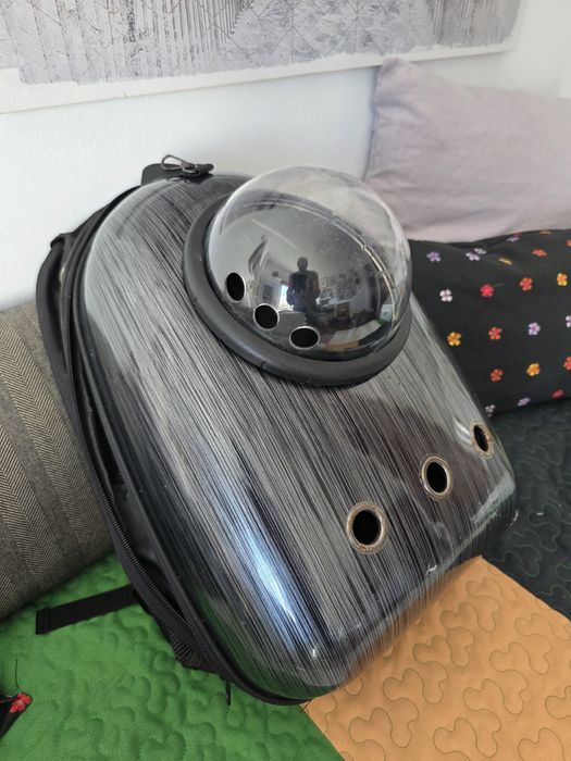 Mala para transportar gato