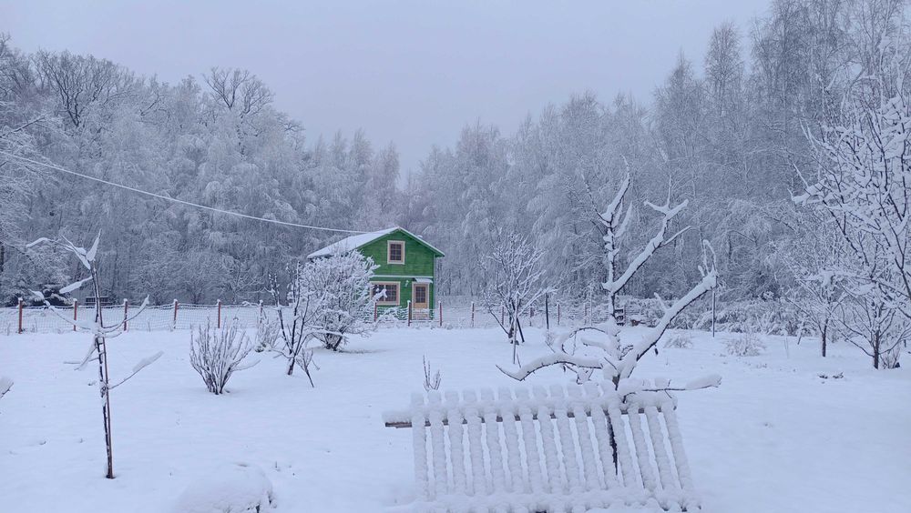 Zielony Dom do wynajęcia