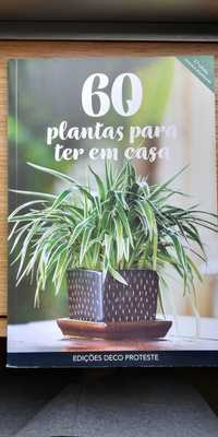 60 plantas para ter em casa - Guias Deco