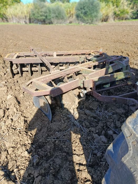 Grade de 20 Discos a trabalhar