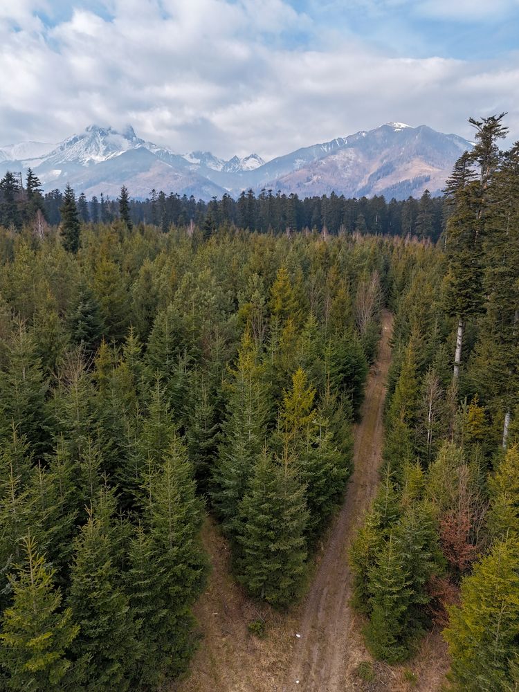 Filmowanie dronem DJI mini 4 pro (4K HDR) - eventy, nieruchomości.