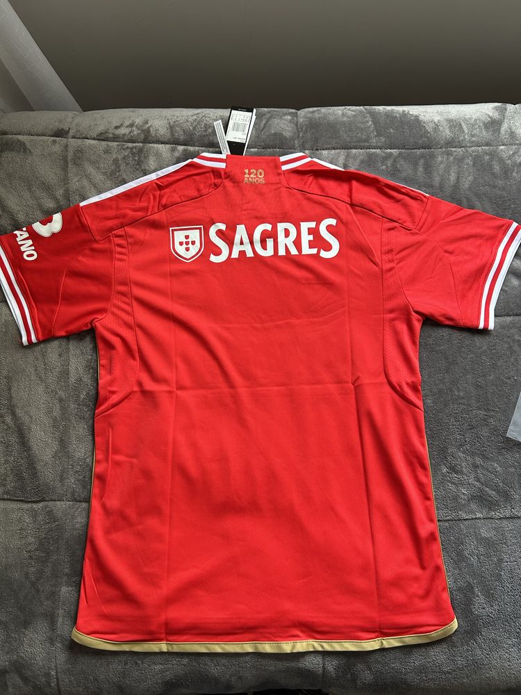 T-shirt Benfica 23/24