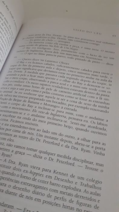 Visto do Céu de Alice Sebold
