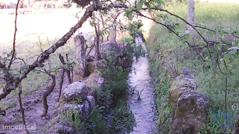 Terreno Agrícola em Moimenta da Serra e Vinhó de 2126,00 m2