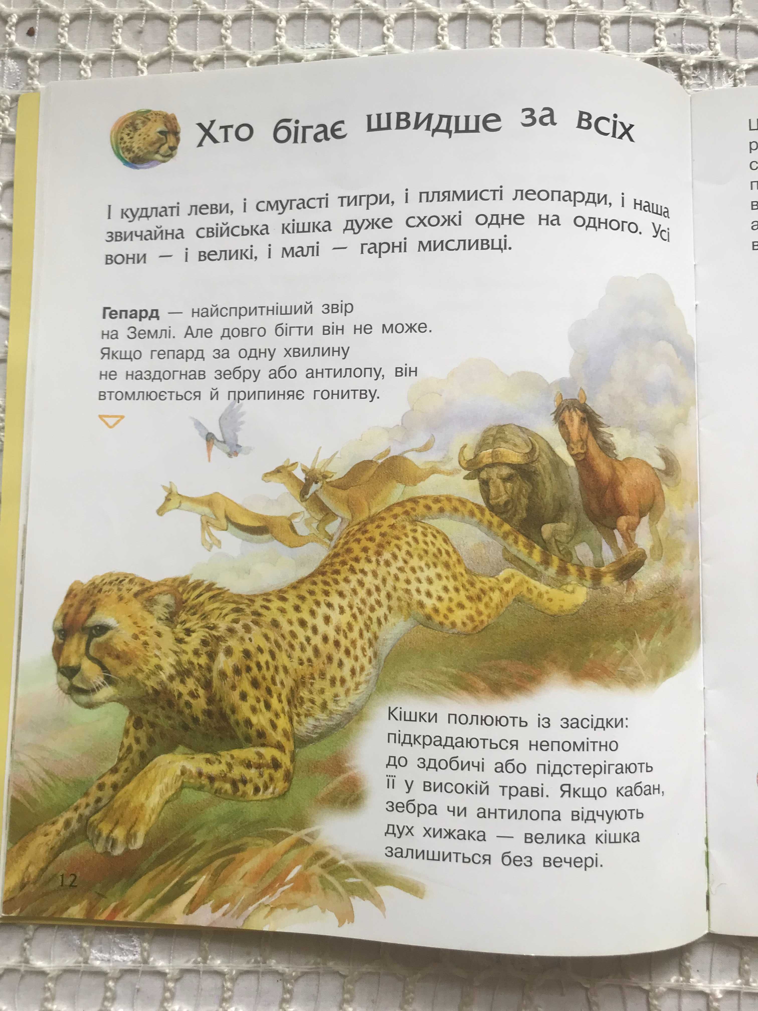 Дитячий журнал " Тварини "