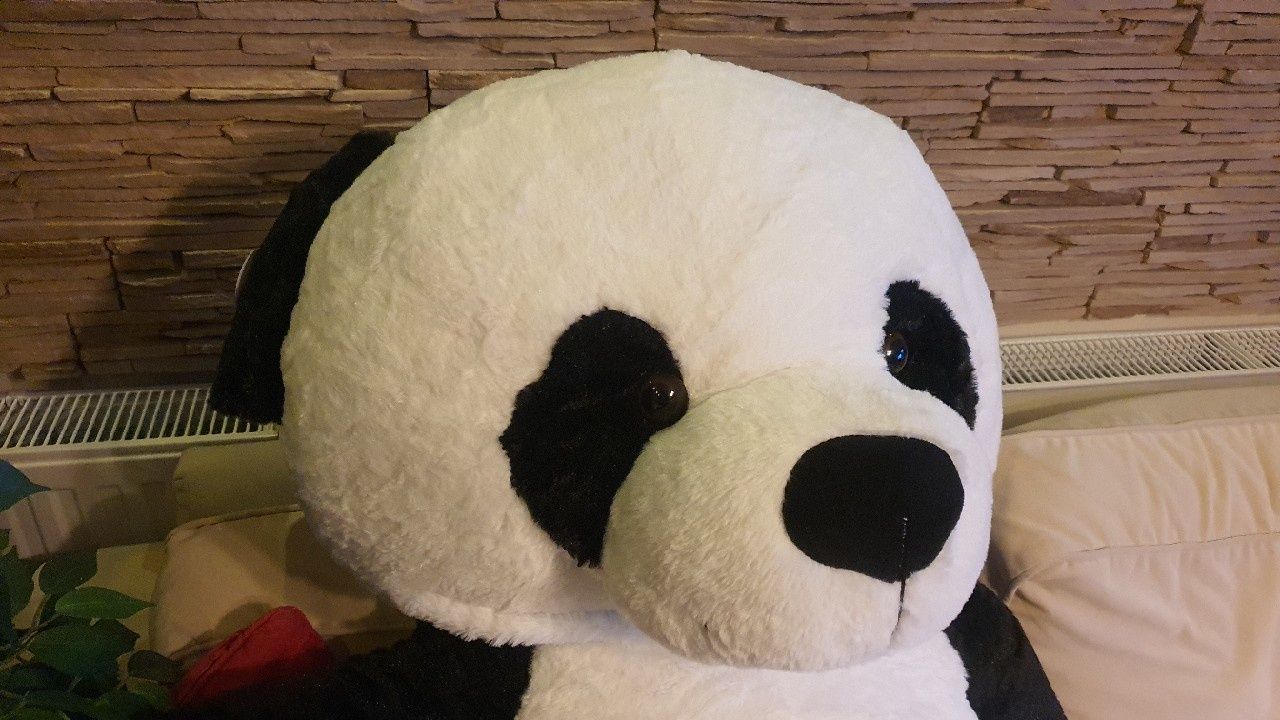 Miś Panda Gustaw 160cm