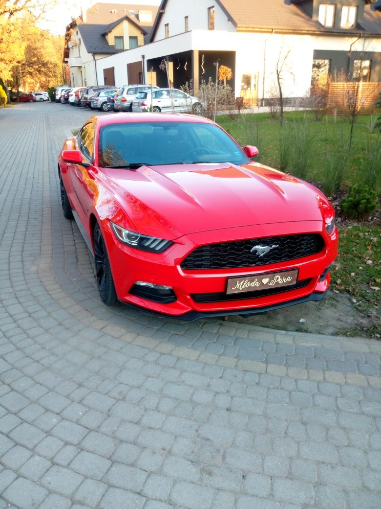 Bus 9 osób wynajem ślub wesela imprezy ok. + MUSTANG do ślubu