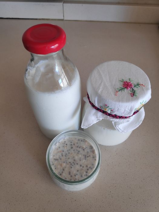 Grãos de Kefir de leite