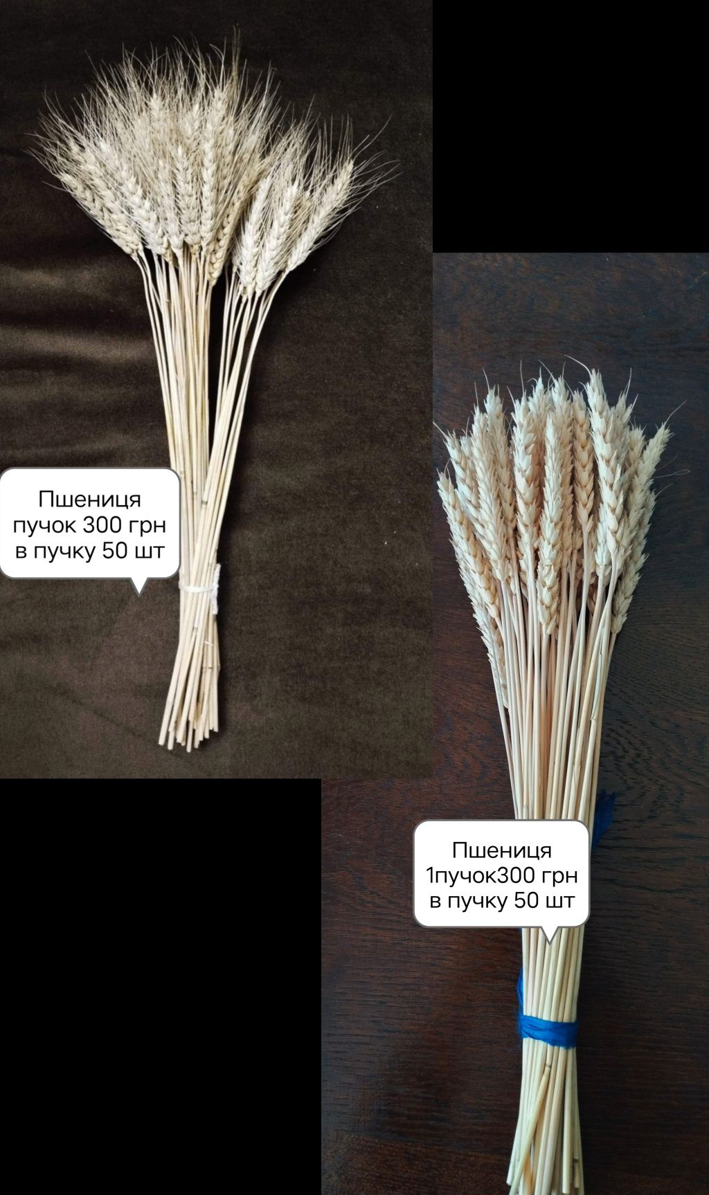 Флористам мак сухоцветы цветочных композиций жито рожь цмин