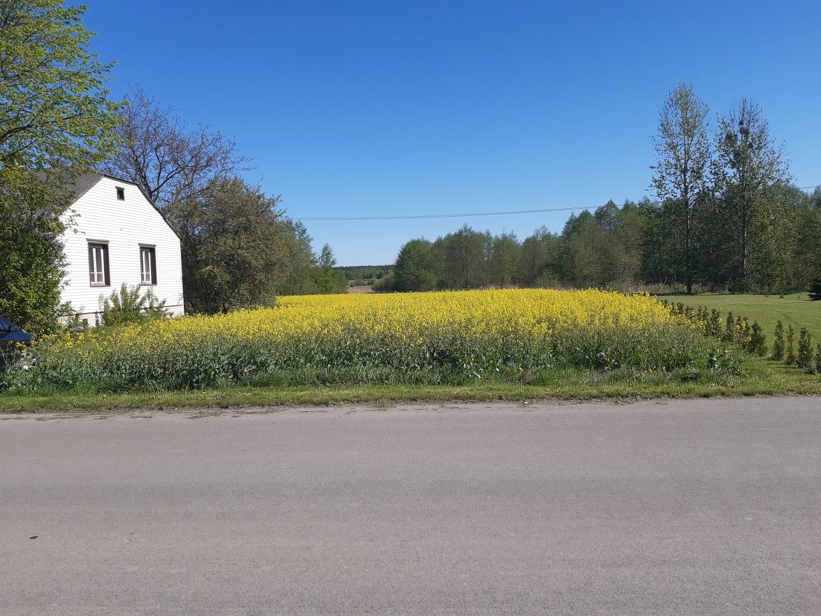 Sprzedam siedlisko