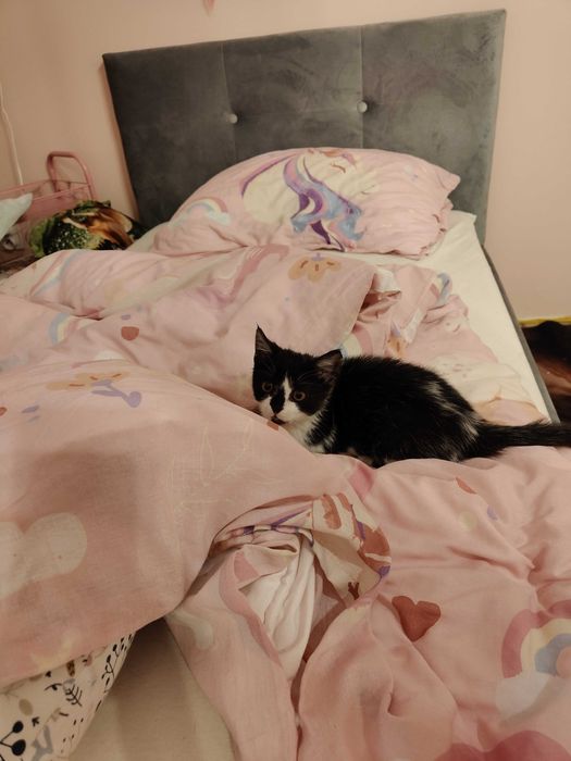 Czy Maja czeka na Ciebie?