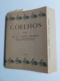 Livro "Coelhos", de Dr. A. Jacinto Ferreira