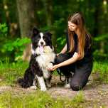 CZIP – pies w typie border collie szuka doświadczonego opiekuna!