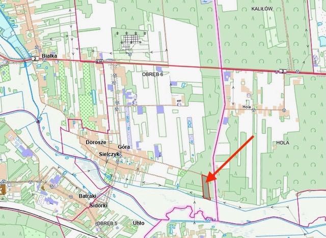 Działka leśna, Sielczyk, Biała Podlaska