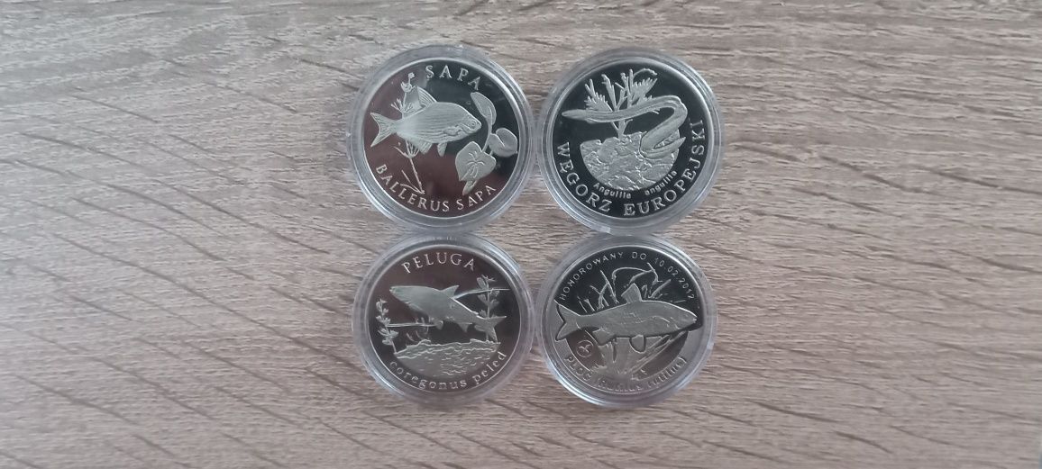 Monety z rybami nowe srebro