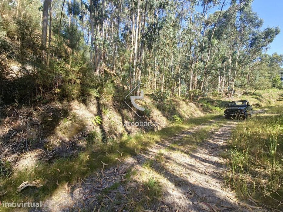 Terreno Rustico