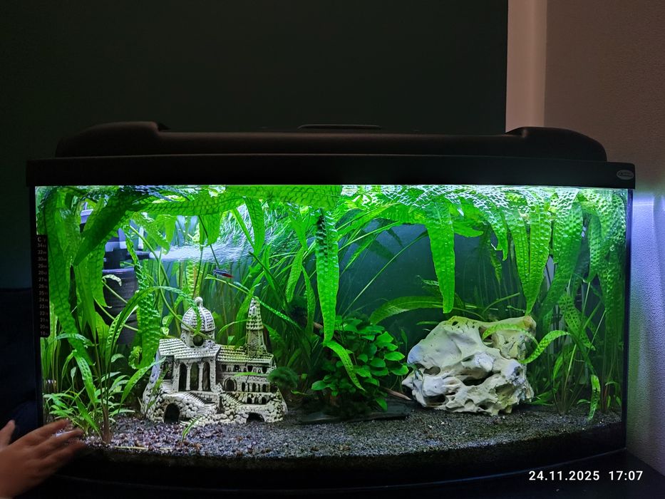 Sprzedam akwarium 112l.