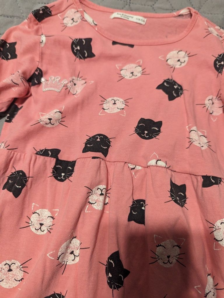 116  Sukienka różowa w kotki koty Sinsay długo rękaw