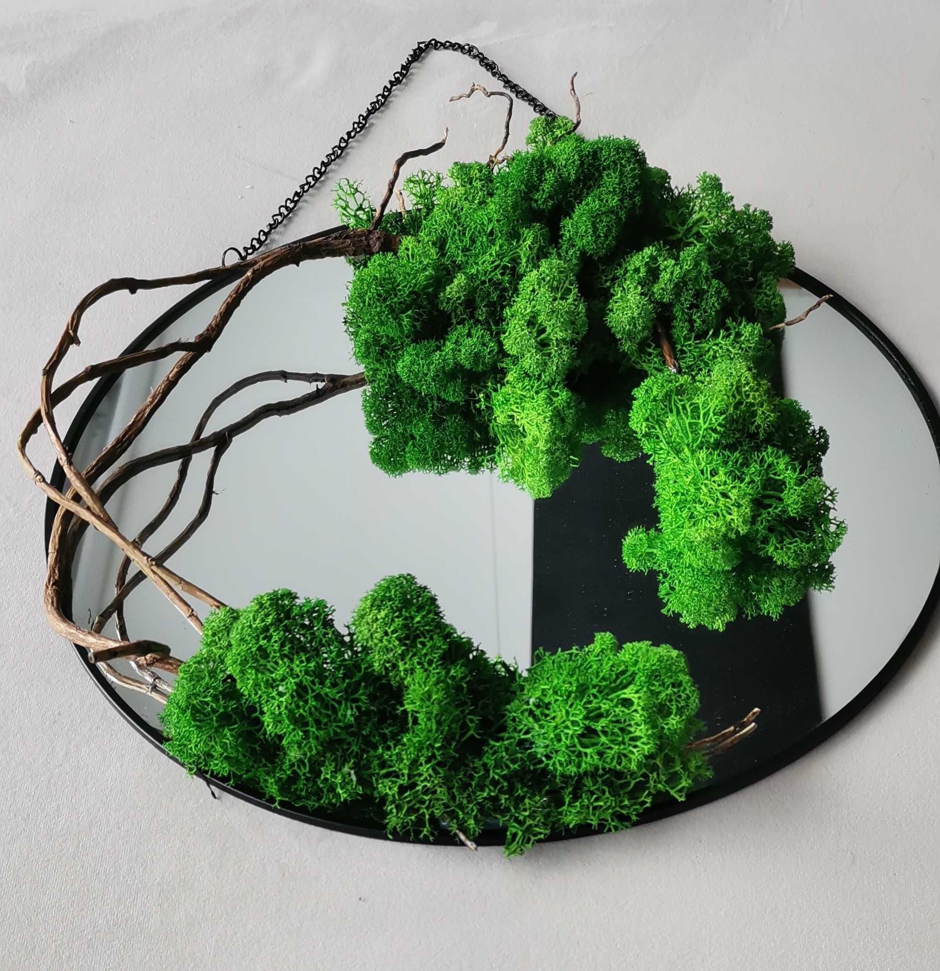 Drzewko bonsai  lustro na prezent