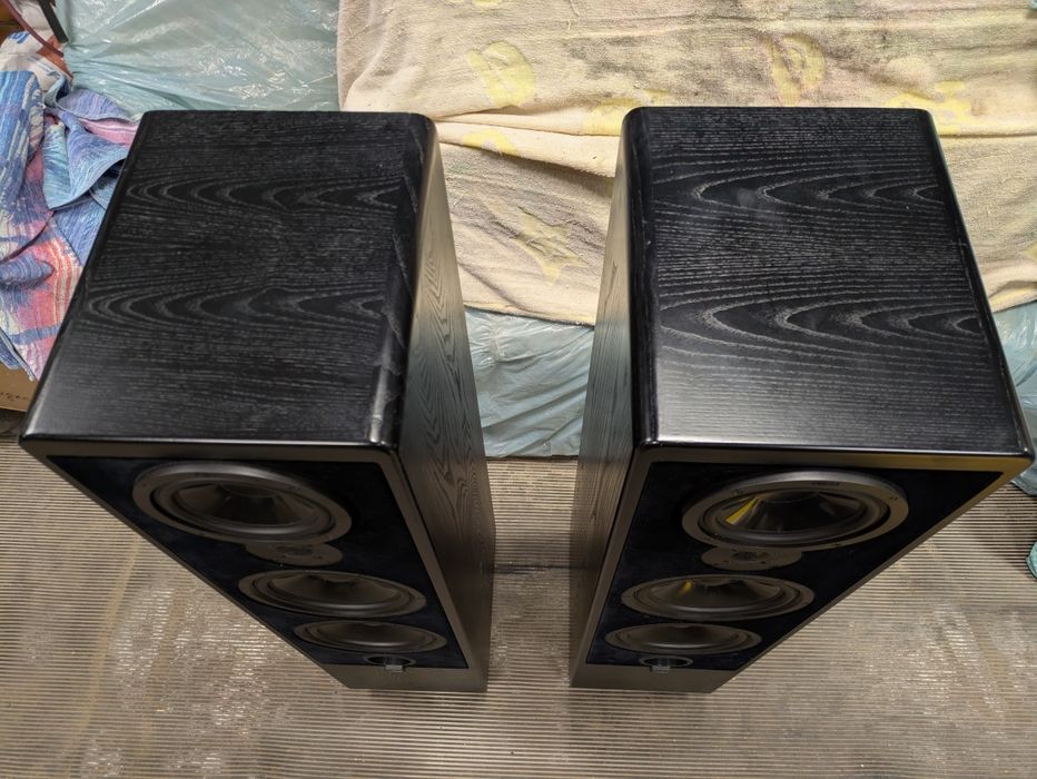 Акустика колонки Canton ergo 100DC