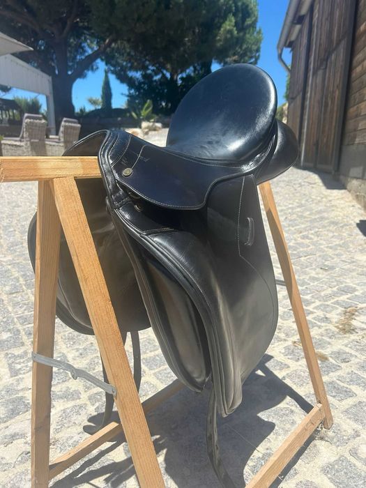 Sela Dressage cavalos