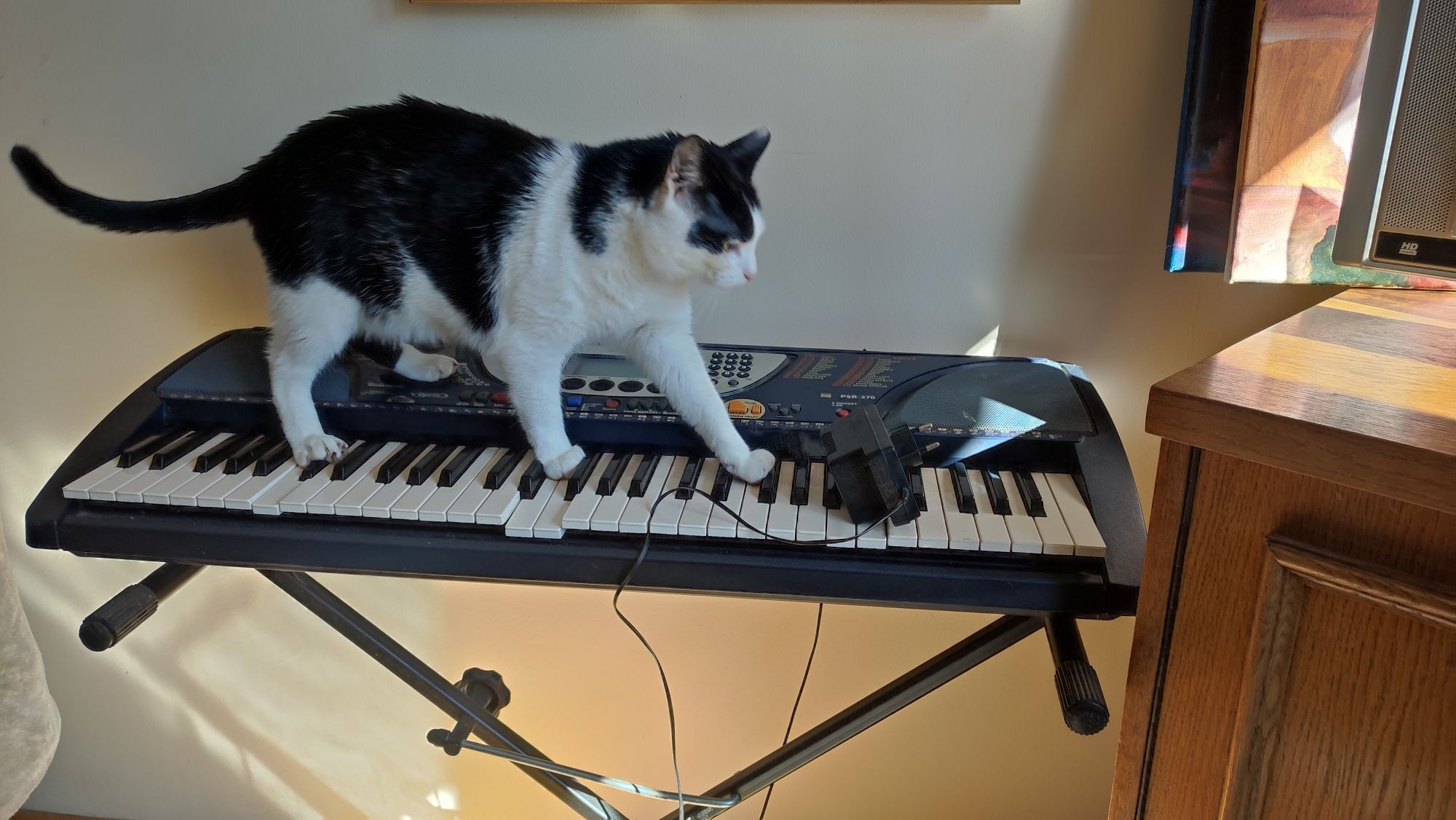 Keyboard Yamaha używany