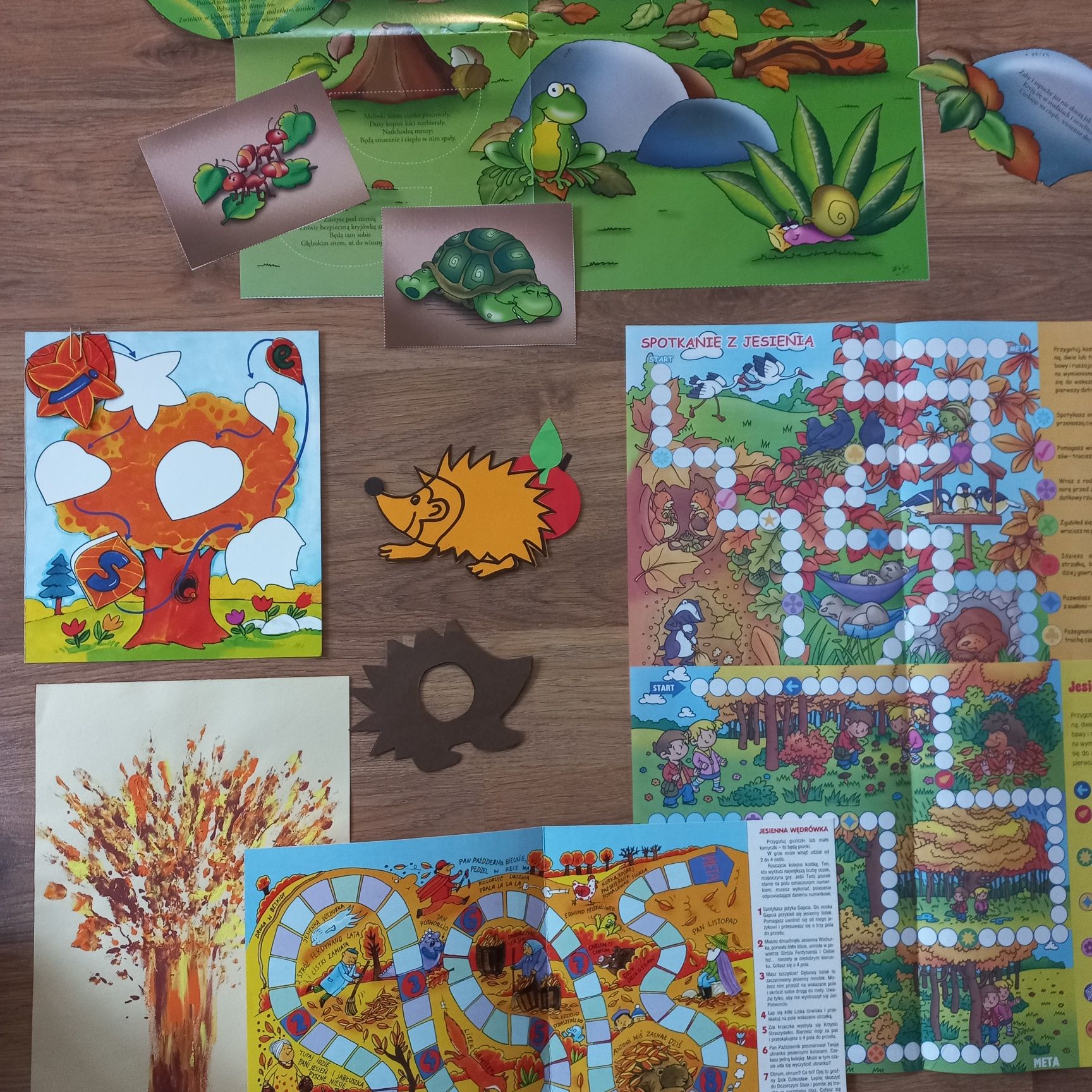 Jesień w lesie i w parku materiały dydaktyczne dla dzieci