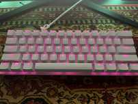 Razer huntsman mini mercury white purple switch
