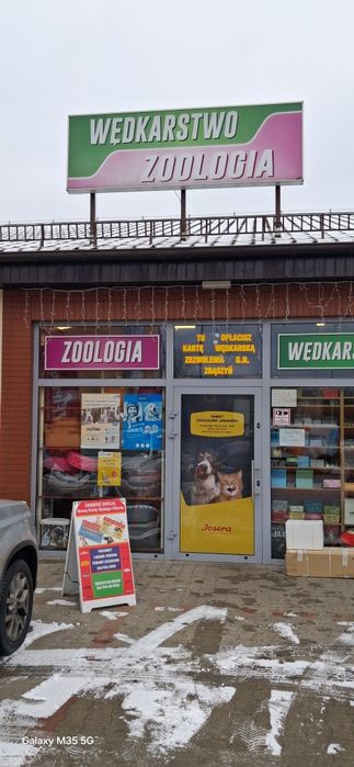 Chomik dżungarski New !