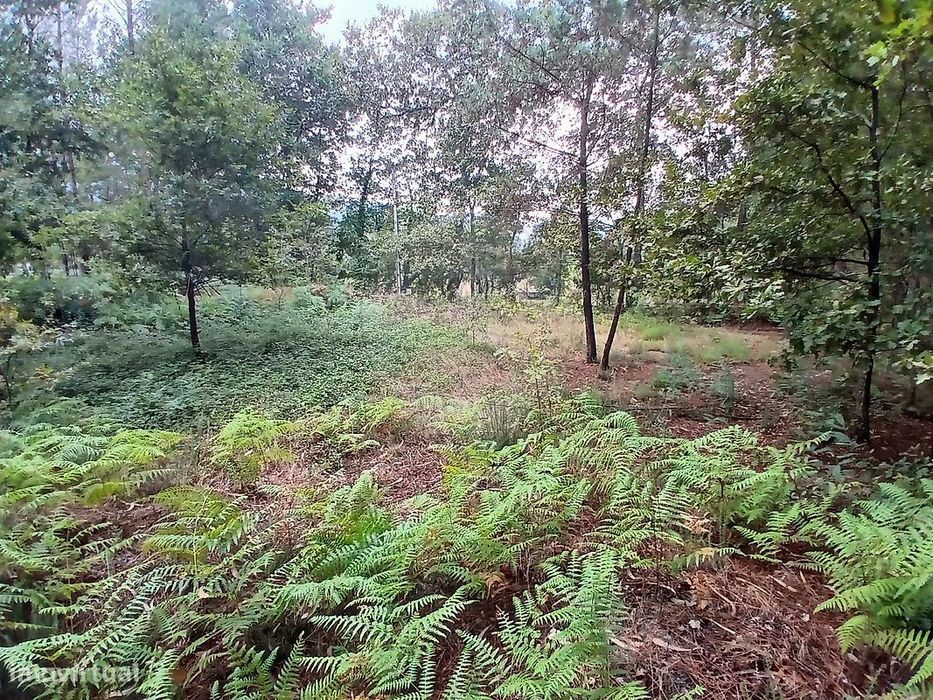 Terreno  para venda